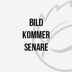 bild-senare_250px bild-senare_250px